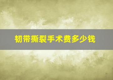 韧带撕裂手术费多少钱