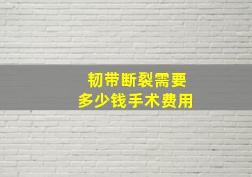 韧带断裂需要多少钱手术费用