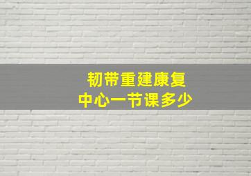 韧带重建康复中心一节课多少