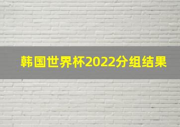 韩国世界杯2022分组结果