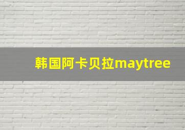 韩国阿卡贝拉maytree