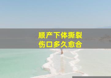 顺产下体撕裂伤口多久愈合