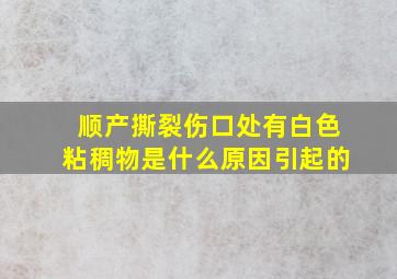 顺产撕裂伤口处有白色粘稠物是什么原因引起的