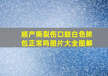 顺产撕裂伤口鼓白色脓包正常吗图片大全图解