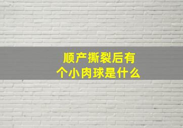 顺产撕裂后有个小肉球是什么