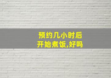 预约几小时后开始煮饭,好吗