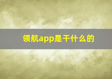 领航app是干什么的