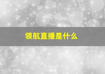 领航直播是什么