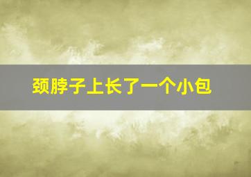 颈脖子上长了一个小包