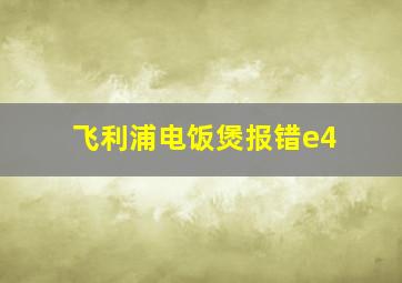 飞利浦电饭煲报错e4