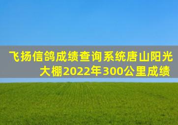 飞扬信鸽成绩查询系统唐山阳光大棚2022年300公里成绩