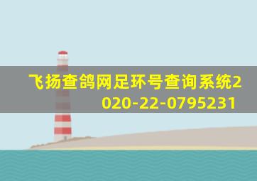 飞扬查鸽网足环号查询系统2020-22-0795231