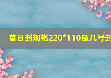 首日封规格220*110是几号封