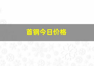 首钢今日价格