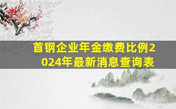 首钢企业年金缴费比例2024年最新消息查询表