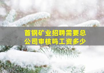 首钢矿业招聘需要总公司审核吗工资多少