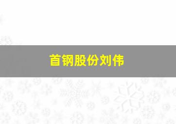 首钢股份刘伟