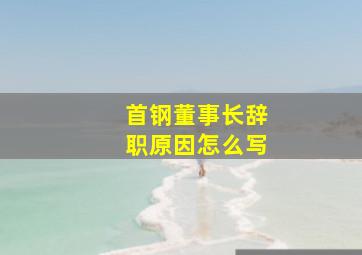 首钢董事长辞职原因怎么写