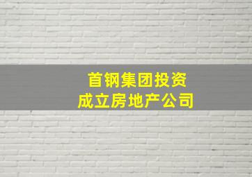 首钢集团投资成立房地产公司