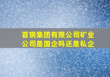 首钢集团有限公司矿业公司是国企吗还是私企