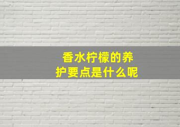 香水柠檬的养护要点是什么呢