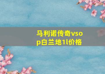 马利诺传奇vsop白兰地1l价格