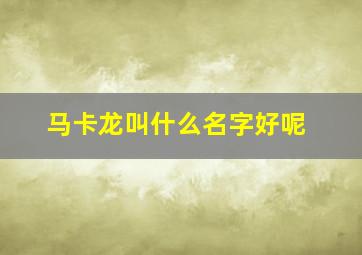 马卡龙叫什么名字好呢