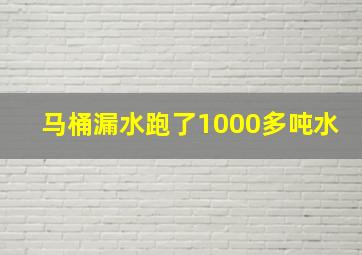 马桶漏水跑了1000多吨水