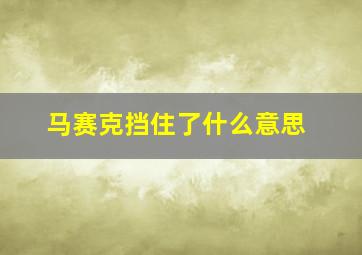 马赛克挡住了什么意思