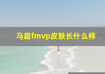 马超fmvp皮肤长什么样