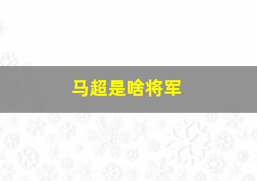 马超是啥将军