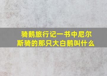 骑鹅旅行记一书中尼尔斯骑的那只大白鹅叫什么