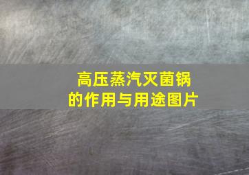 高压蒸汽灭菌锅的作用与用途图片