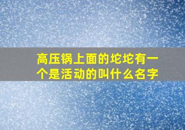 高压锅上面的坨坨有一个是活动的叫什么名字