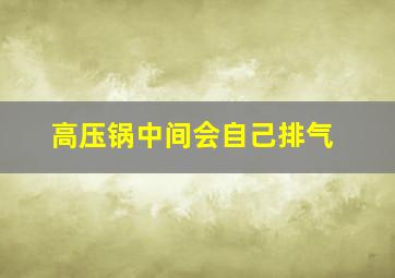 高压锅中间会自己排气