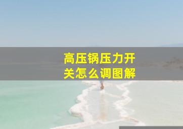 高压锅压力开关怎么调图解