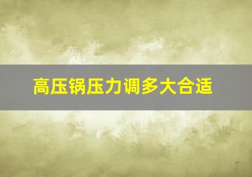 高压锅压力调多大合适