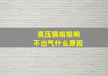 高压锅嗡嗡响不出气什么原因