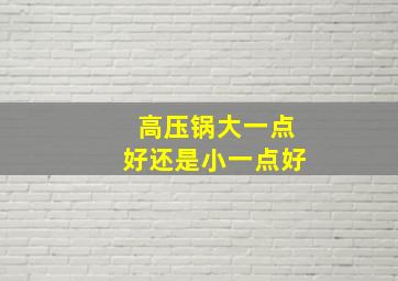 高压锅大一点好还是小一点好