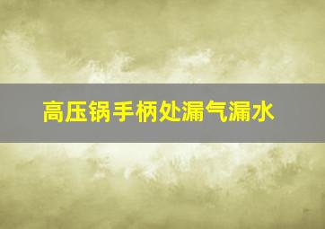 高压锅手柄处漏气漏水