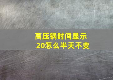 高压锅时间显示20怎么半天不变