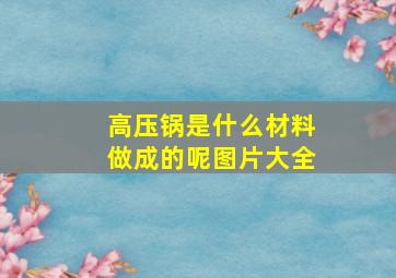 高压锅是什么材料做成的呢图片大全