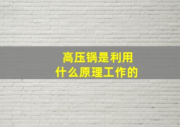 高压锅是利用什么原理工作的