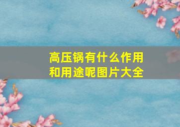 高压锅有什么作用和用途呢图片大全