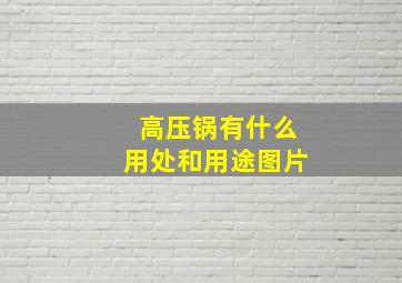 高压锅有什么用处和用途图片