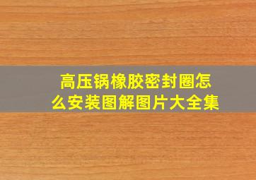 高压锅橡胶密封圈怎么安装图解图片大全集