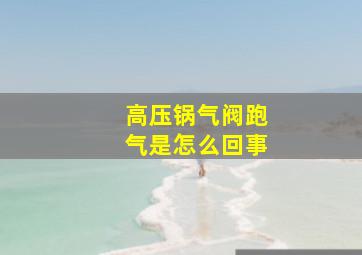 高压锅气阀跑气是怎么回事