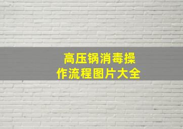 高压锅消毒操作流程图片大全