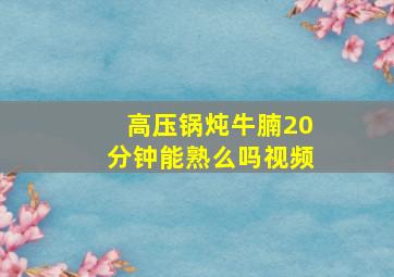 高压锅炖牛腩20分钟能熟么吗视频