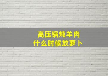 高压锅炖羊肉什么时候放萝卜